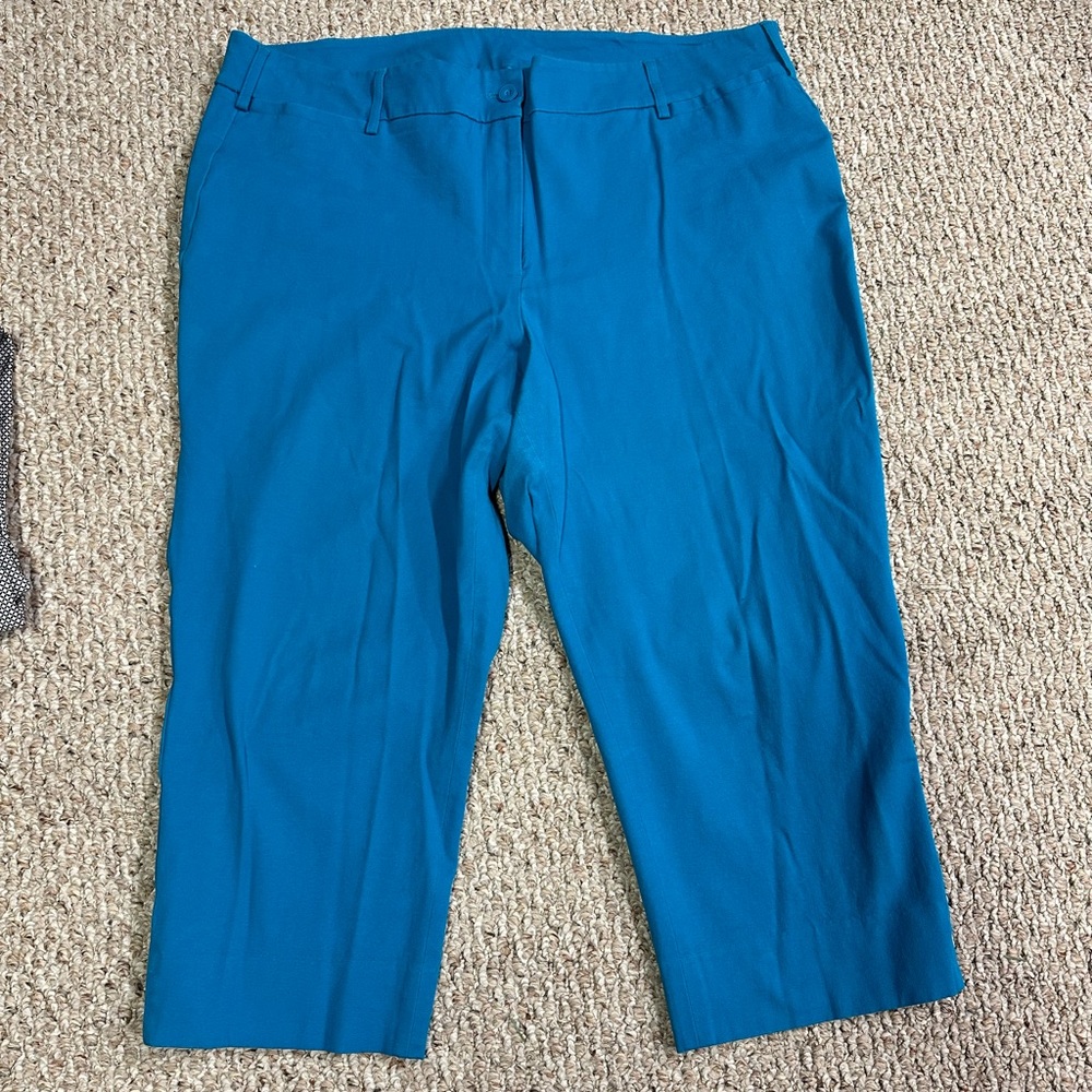 Lane Bryant crop sz 22 teal